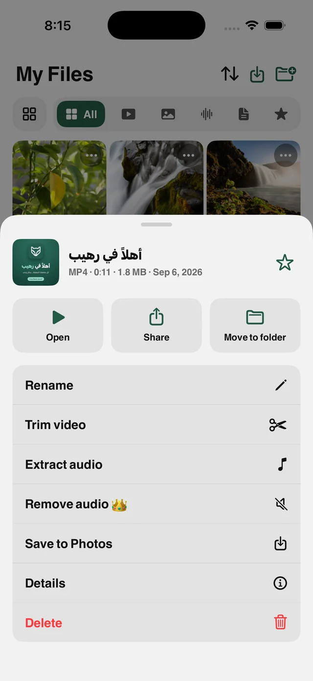 Extract audio (MP3) — Raheeb